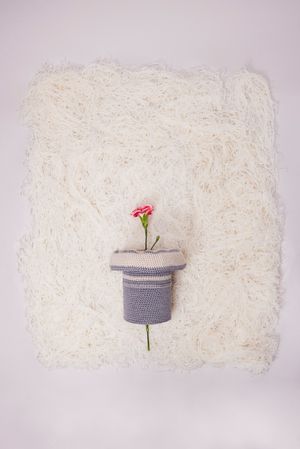 minigonnavase grey small soft bed